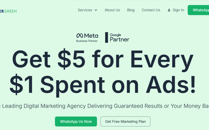 Advergreen Digital Website