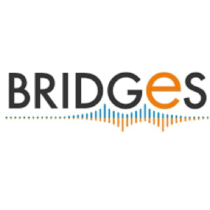 Picture of Bridges MC